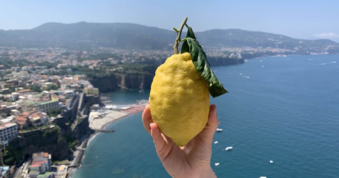 Limone di Sorrento